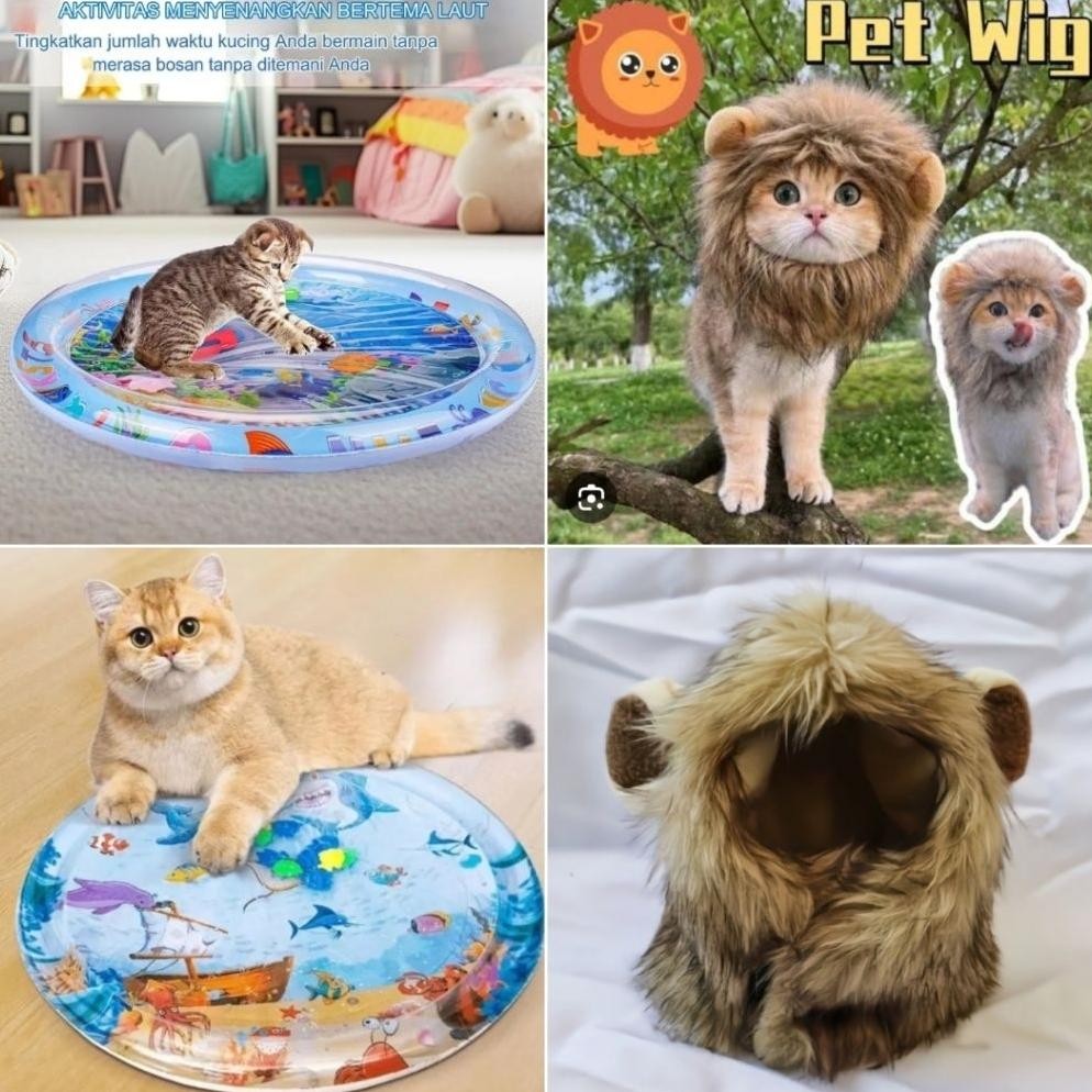 READY Mainan Kolam Kucing & Wig Kucing FREE Sikat Pembersih Bulu Kucing 