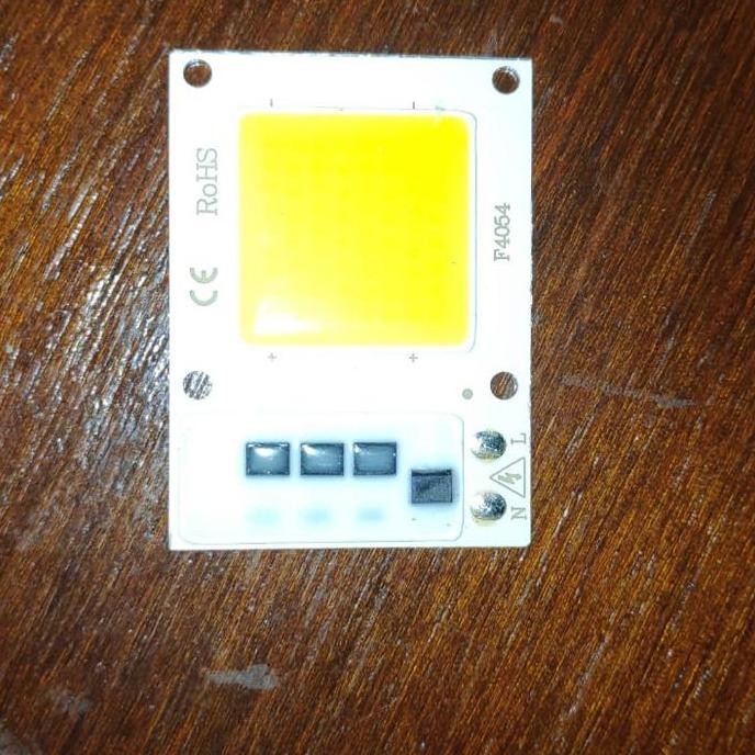 New HPL High Power Led COB Led 15W 20W 30W 50W 220V AC Spotlight