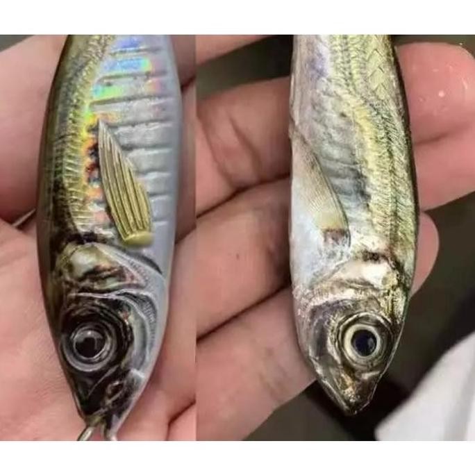 Aquasite Metal Jig Bionik Mirip Ikan Asli Lure GID Super Realistik Untuk Angler Sejati