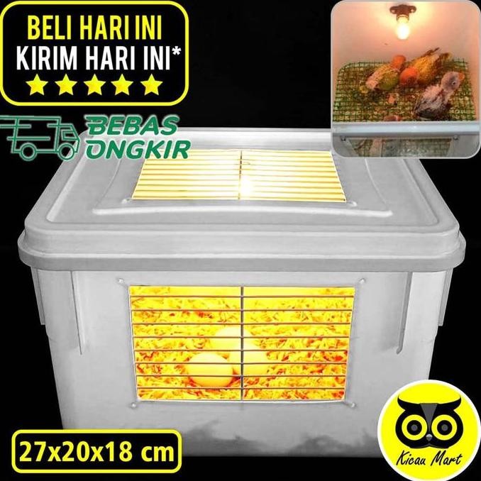 :::::::] Box terrarium fullset kotak tempat lolohan burung anakan reptile gecko