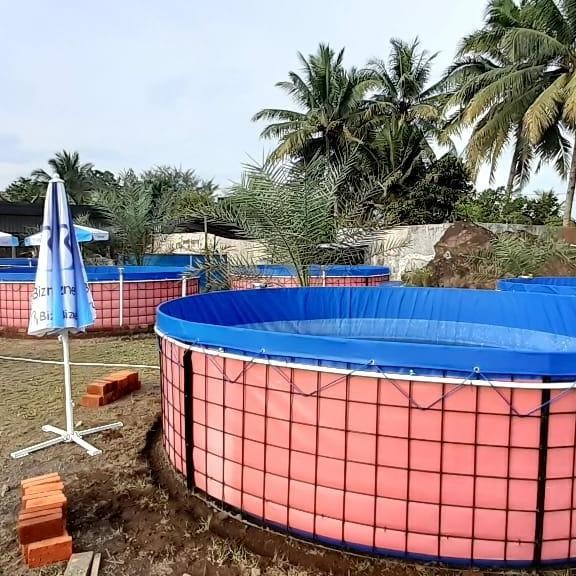 kolam terpal bulat D. 3.5 T1.2. bahan pvc merk orchid semi kare