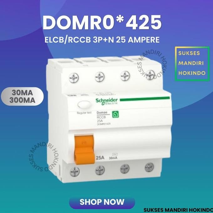 Promo ELCB 4P 25A 2 Phase 25 Ampere 30mA 300mA RCCB Domae Schneider ORI SNI COD