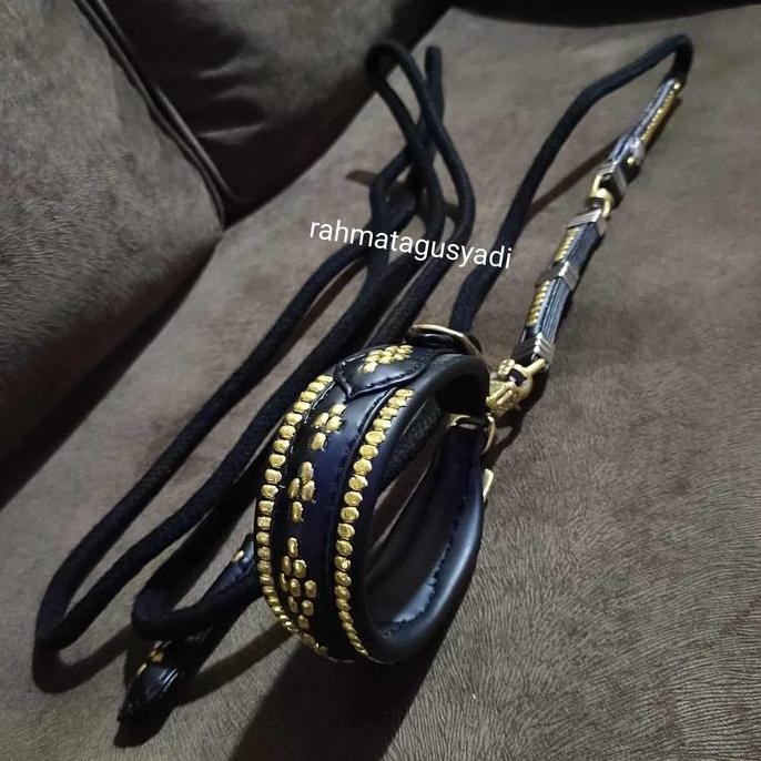 Kalung Anjing & Tali Tuntun Otomatis UK 35 - 40 CM Asli Acc Petik 2 AME