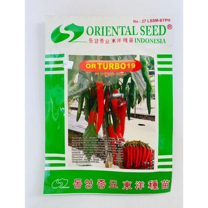 Benih cabai besar hibrida f1 or TURBO 19 isi 10gr dari ORIENTAL SEED KOKO