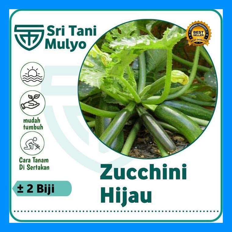 [Cod] - 2 Biji - Benih Zucchini Hijau Bibit Tanaman Zukini - Sukini Zukini Zucini Import - Bibit Say