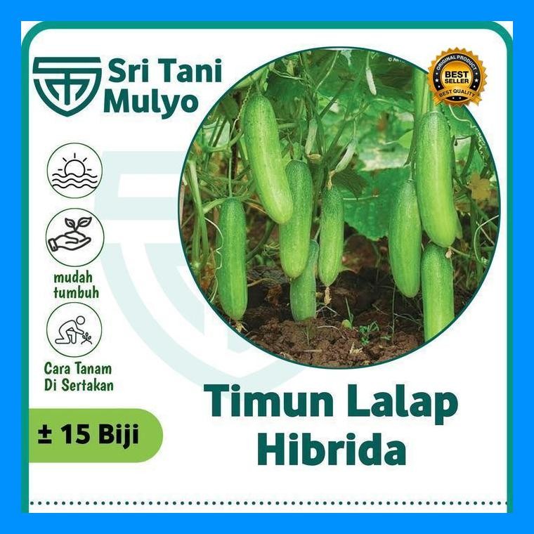 [Cod] - Biji Benih Timun Lalap Hibrida F1 Repack 15 Biji - Bibit Tanaman Sayur Sayuran Toska Jepang