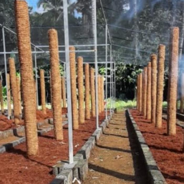 Turus Jumbo Penyangga Tanaman 150 cm