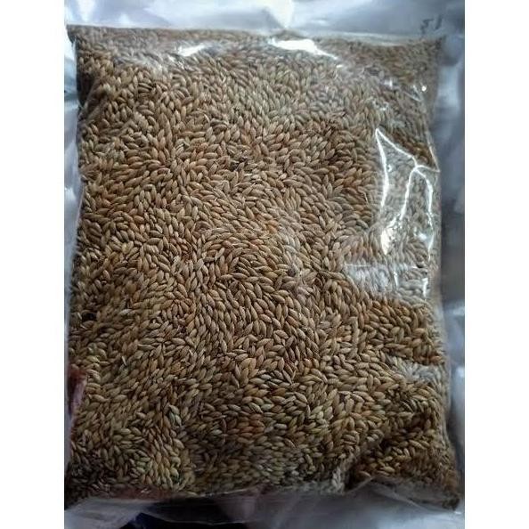 kenari seed 1 kg murah
