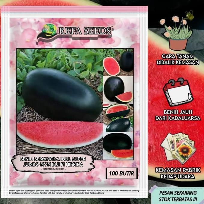 Promo 1 Pack (100 Butir) Benih Semangka Inul Jumbo Hibrida Non Biji F1 Kemasan Original COD