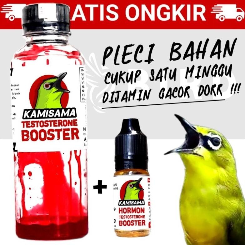 KAMISAMA HORMON TESTOSTERON BOOSTER DEXTRO PLECI