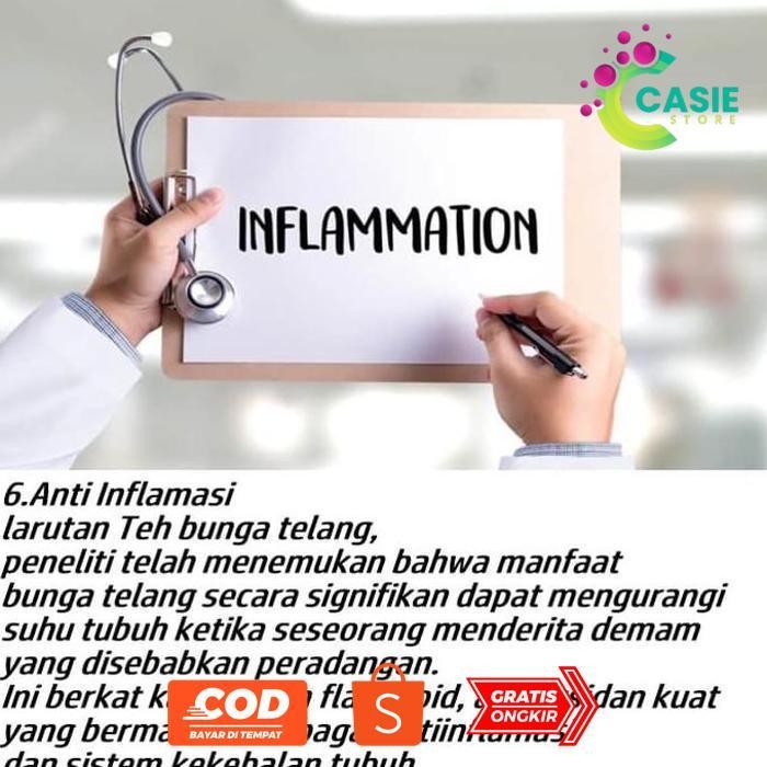 Ready Stock Teh Bunga Telang Premium Isi 5 Celup Teh Kembang Telang Murni Teh Celup Murah Teh Telang