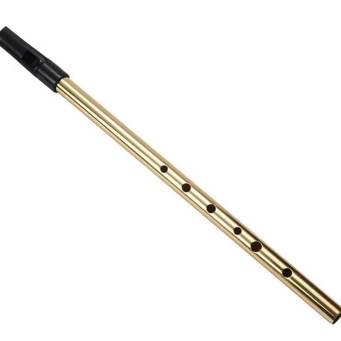 IRISH TIN FLUTE PENNY WHISTLE FLUTE IRLANDIA FLUTE BRASS WOODWID KEY C | KEY D