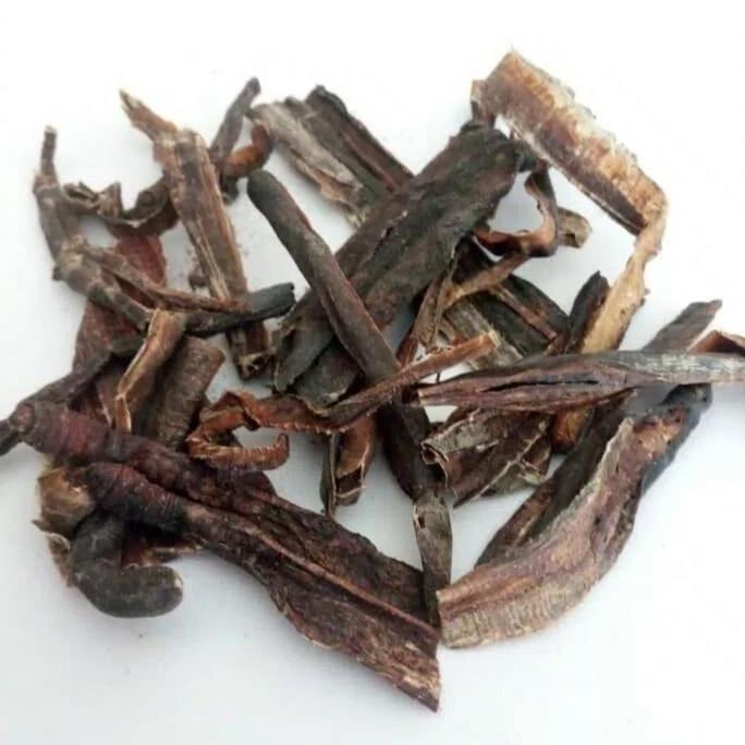 1KG 1 KG 1000 GRAM DI LONG CACING TANAH KERING OBAT TIPES DAN DEMAM