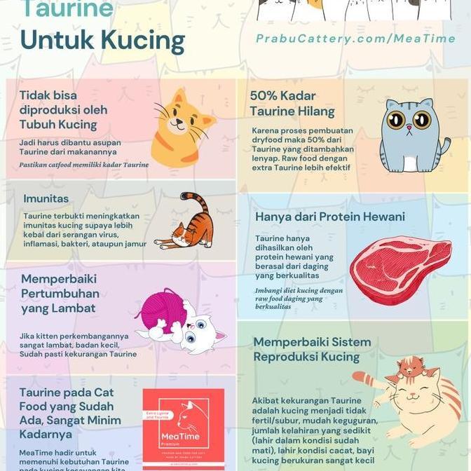 Meow- Meatime Turkey, Raw Food Kucing, Daging Kalkun Giling, Puyuh Dan Sapi
