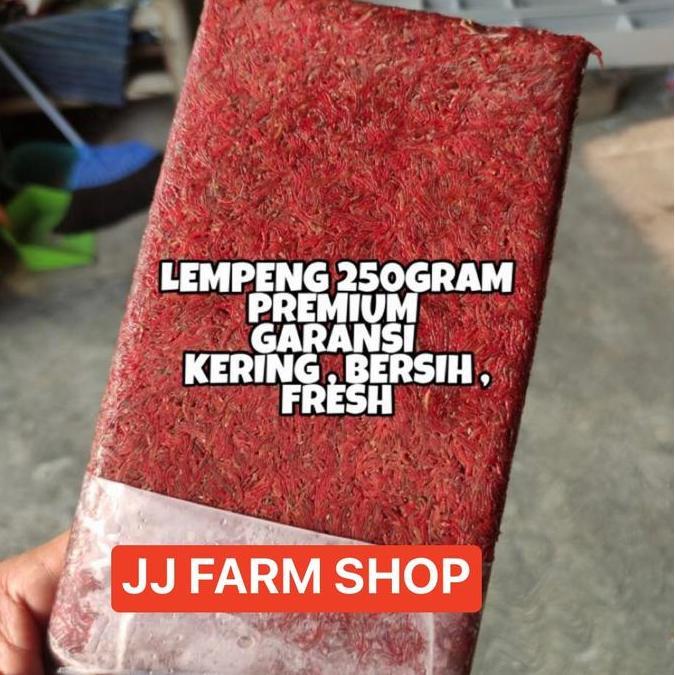 CACING BEKU FRESH LEMPENG 1KG SEGER KERING KHUSUS GOJEK & GRAB SAJA