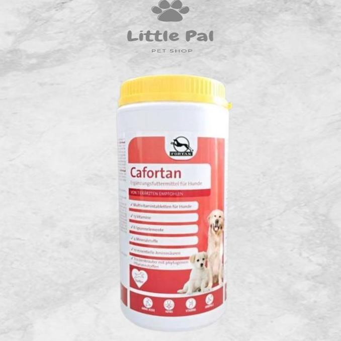 FORTAN CAFORTAN 1000 GR (MULTIVITAMIN)