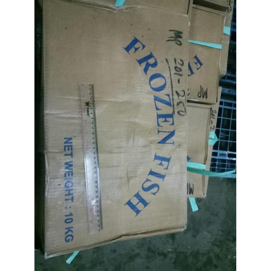 IKAN LAYANG CUEK 200-250 BEKU PER DUS