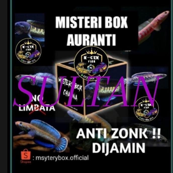 MISTERI BOX CHANNA SULTAN AURANTI YS MARU BUNGA PULCRA DAN LAIN LAIN