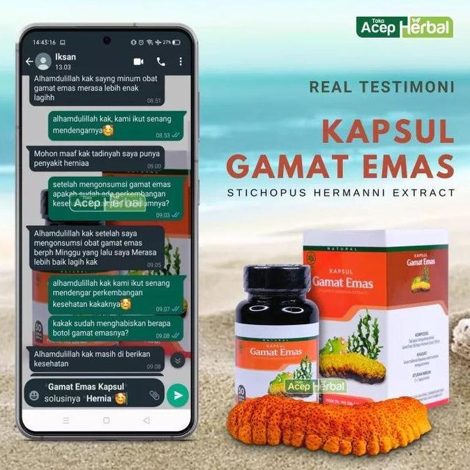 Health- Kapsul Gamat Emas , Kapsul Gamat, Gamat Kapsul