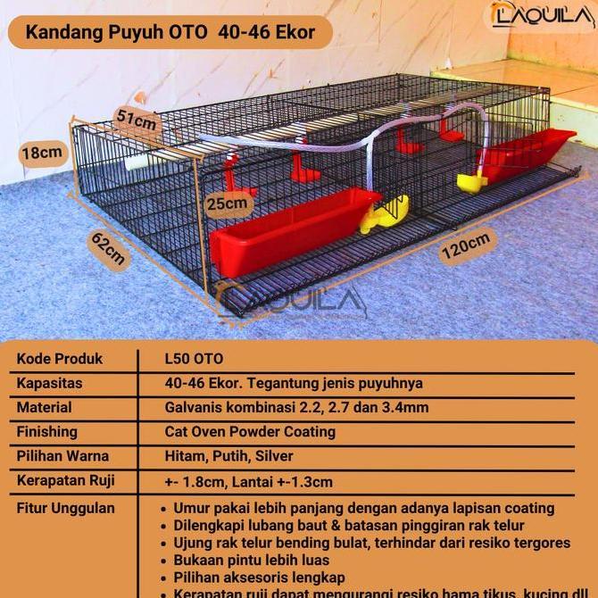 LAQUILA Kandang Puyuh Galvanis Puyuh Petelur 40 - 46 Ekor