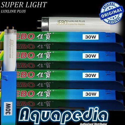Arref - Lampu Neon T8 Jebo 30Watt Warna Putih Luxline Plus Super Light 10000K