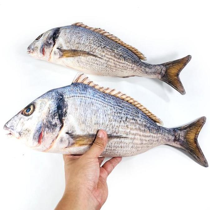 Boneka Ikan Segar Mirip Ikan Beneran Untuk Prank