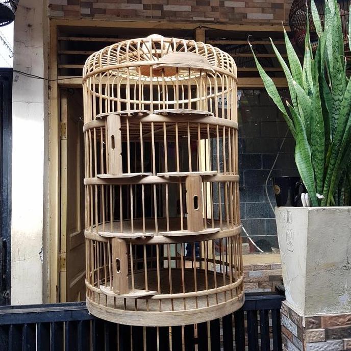 DONGDANG LEPAS BURUNG MERPATI