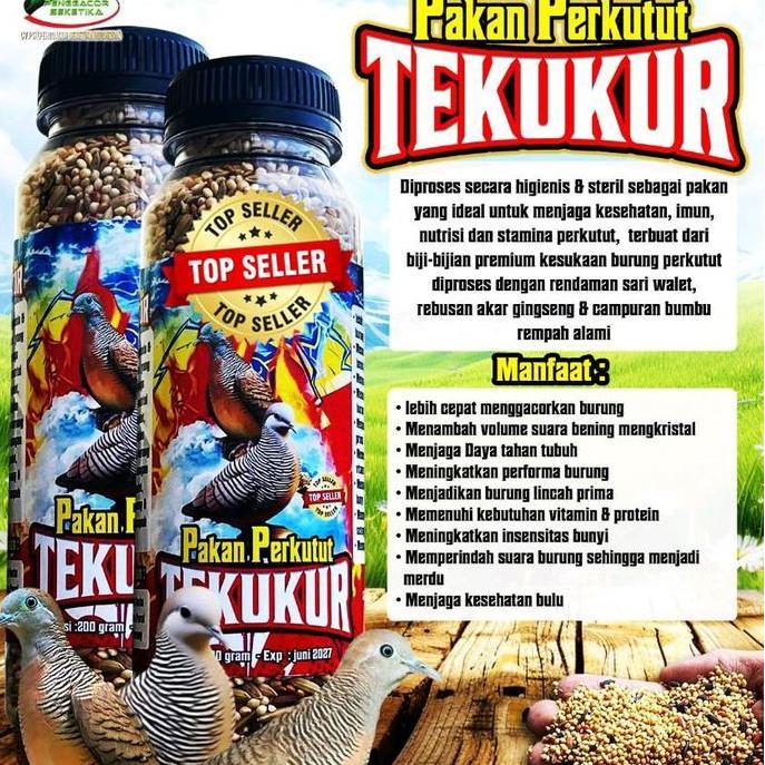 PAKAN PERKUTUT TEKUKUR PENGGACOR BURUNG