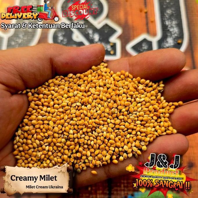 Asci- Milet Bijian Sangrai Milet Putih Milet Cream Milet Hitam