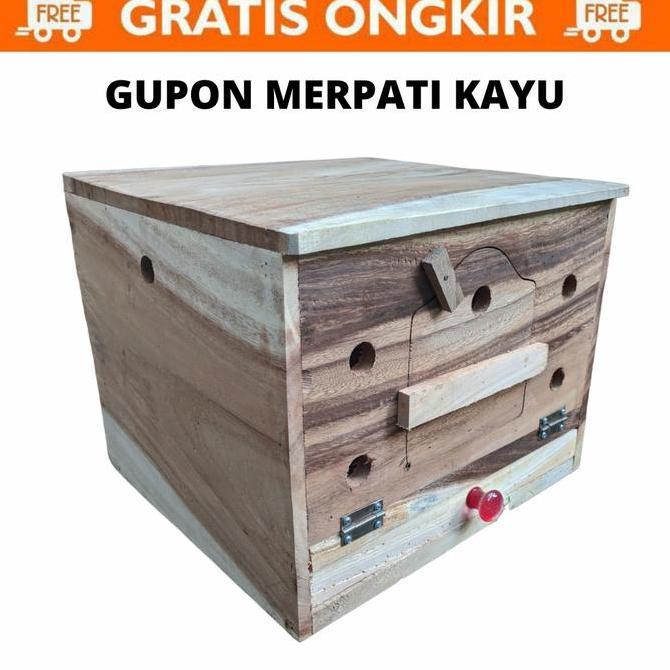 gupon merpati burung dara