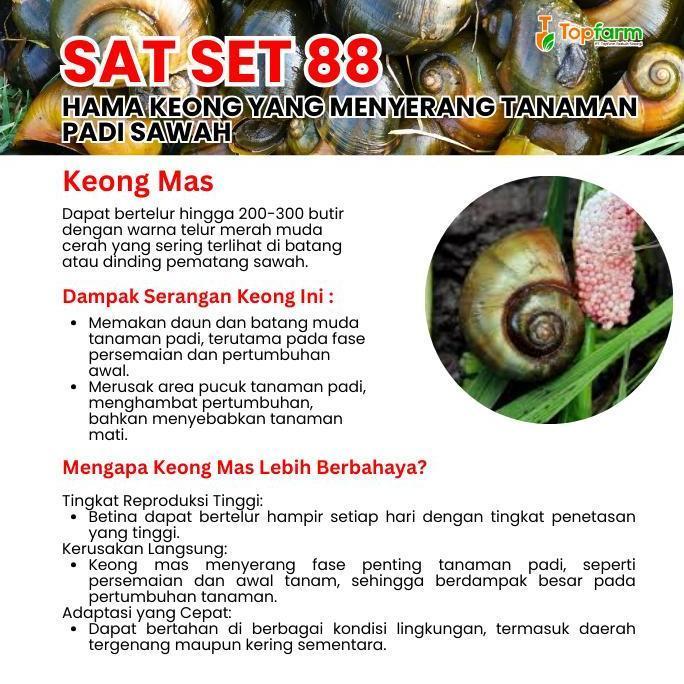 Gardener- Obat Keong Sah Paling Ampuh / Obat Semprot Padi Hama Keong / Obat Hama Padi Keong / Obat K