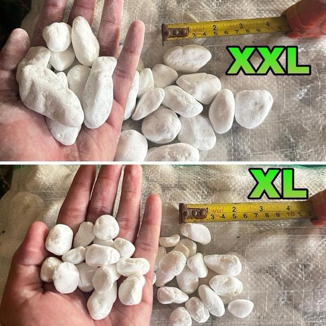 Harve- Batu Koral Putih Italy Import 10Kg Via Cago