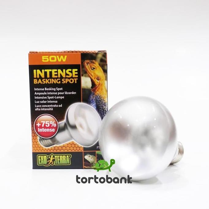 LAMPU UVA EXOTERRA INTENSE BASKING SPOT 50W - LAMPU REPTIL - LAMPU KURA DARAT - LAMPU TORTOISE - LAM