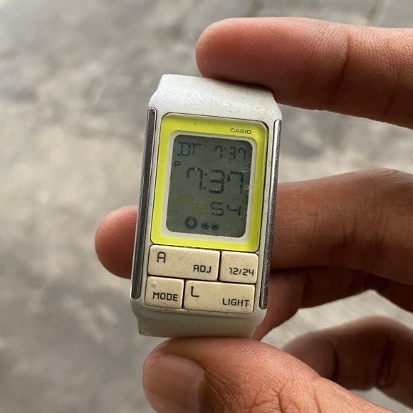 CASIO LDF-51