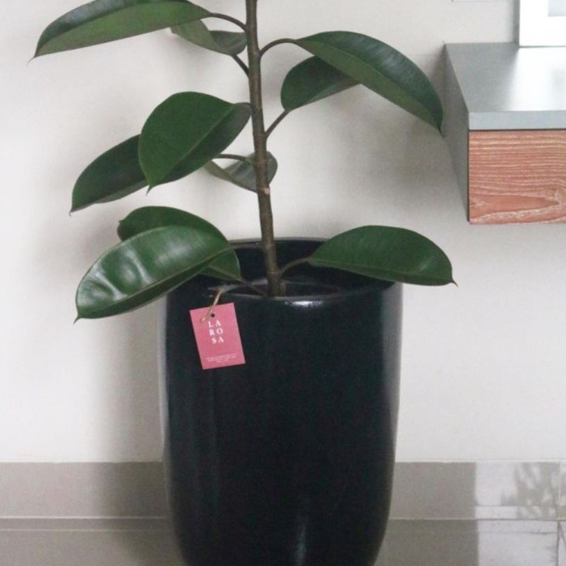 POT SEMEN KAPSUL | Pot semen Estetik Minimalis Indoor Outdoor