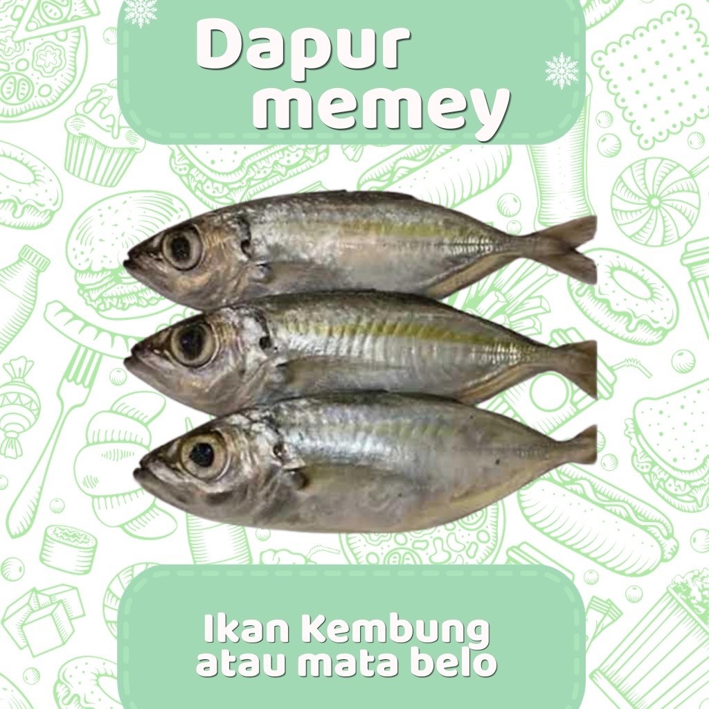 Ikan Kembung/ Mata Belo