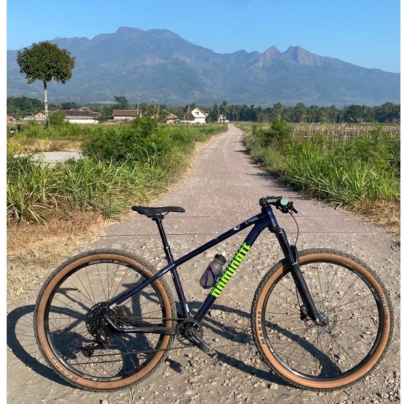 frame only dominate axc2 comp r