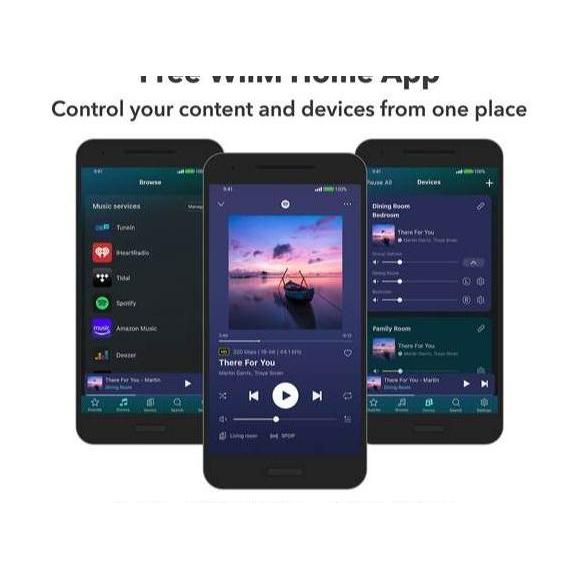 Mka_Jayadira - Wiim Pro Plus Pro + Hi-Res Music Streamer Dac Akm4493Seq