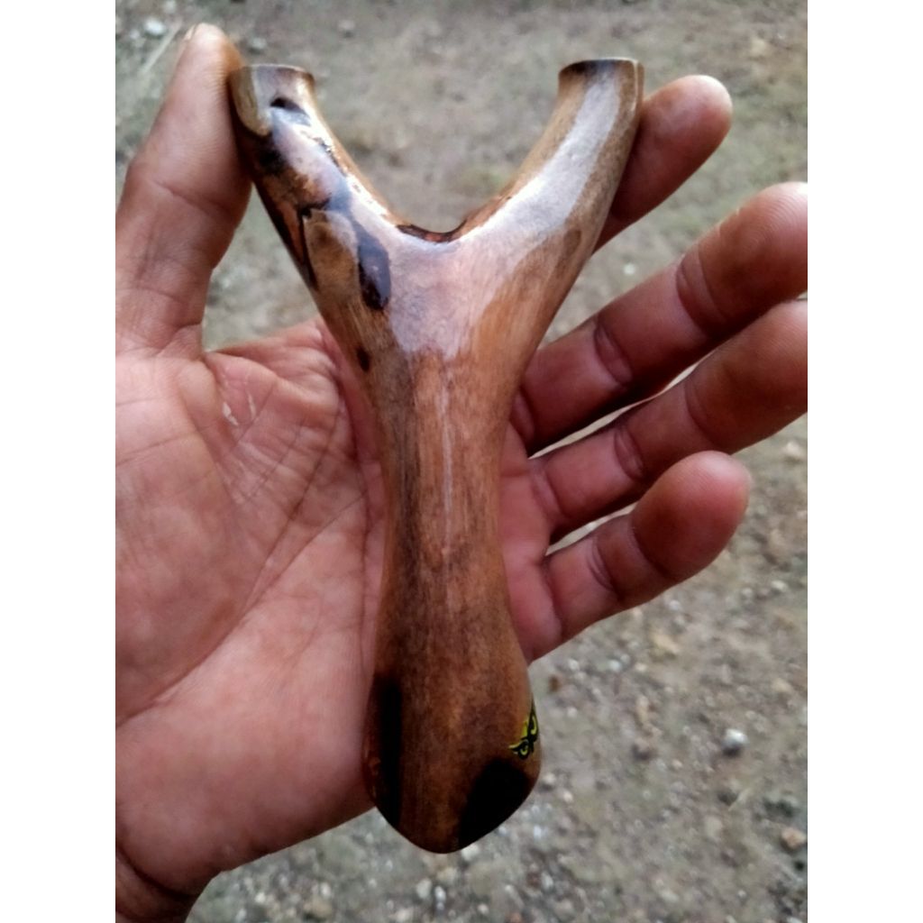 ketapel kayu Akar jambu air/ ayonCATAPULT