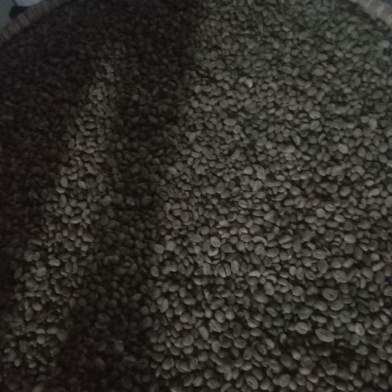 kopi green bean