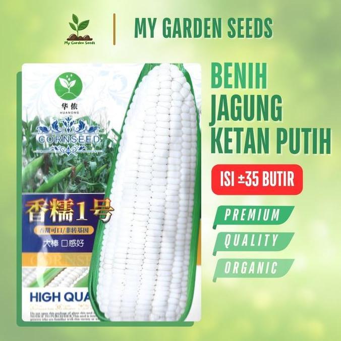 Promo BENIH JAGUNG KETAN PUTIH KEMASAN IMPORT 35 BUTIR Diskon