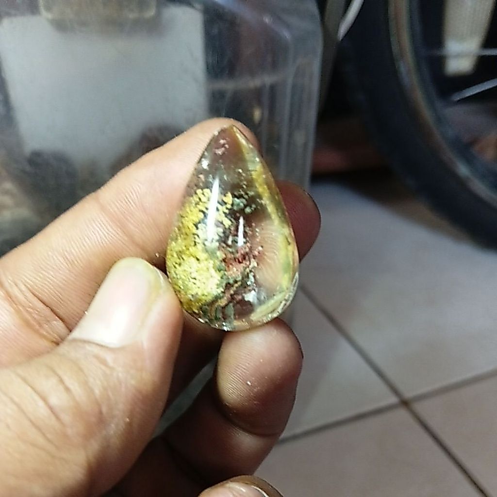 BATU KINYANG KARANG/KECUBUNG KARANG