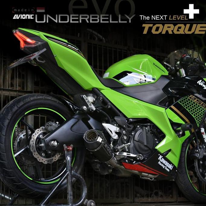 VIRALL KNALPOT NINJA 250 AVIONIC EXHAUST  UNDERBELLY EVO CARBON FULLSYSTEM *