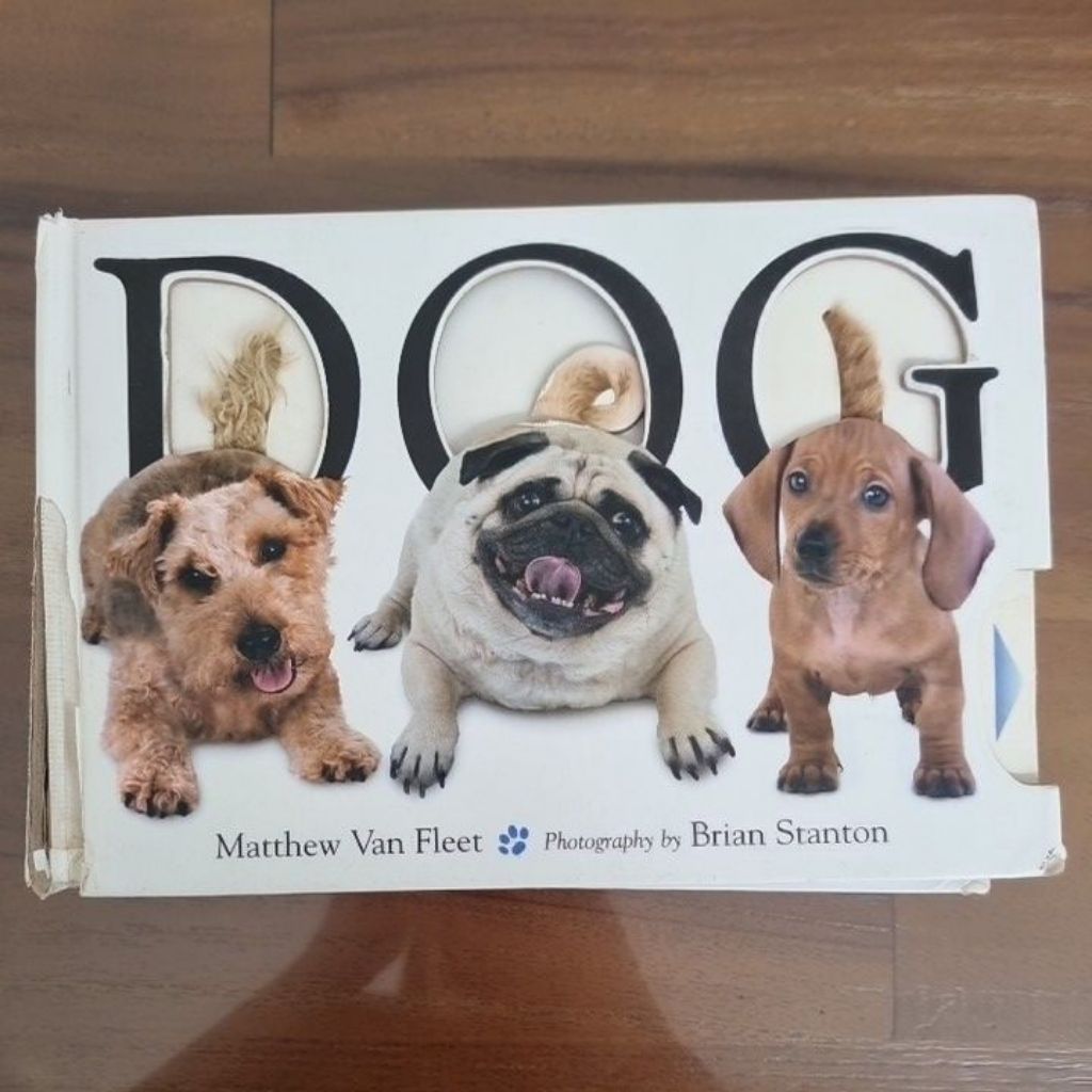buku Dog by matthew van fleet, board book inggris