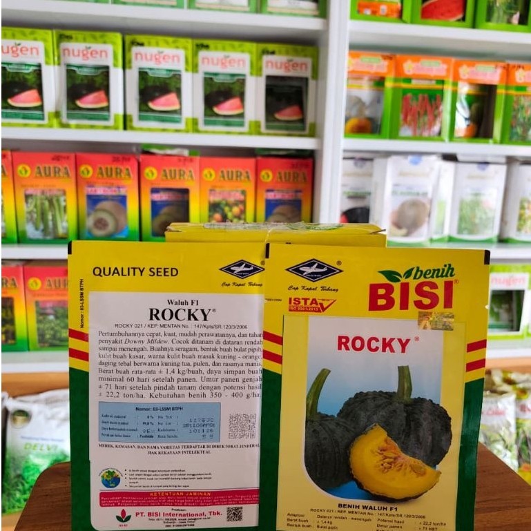 benih waluh ROCKY 5gram