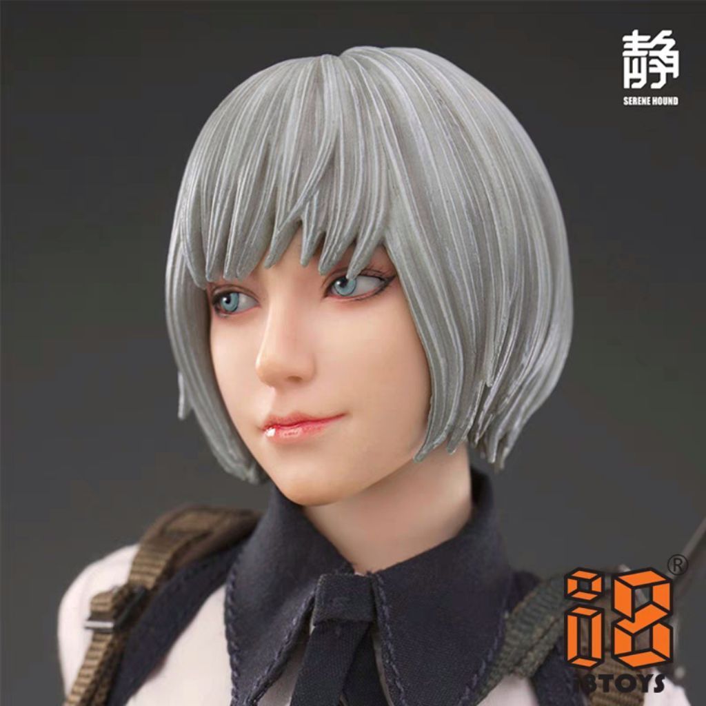 Serene Hound Troop TACHE Head Sculpt 1/6 - [i8-501S612S] Action Figure - i8TOYS - i8 TOYS - i8-501S6