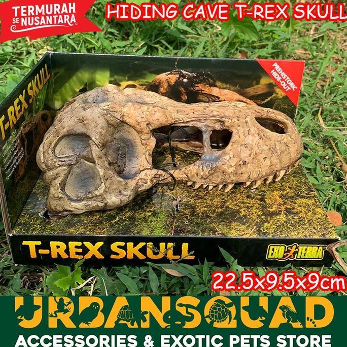 EXOTERRA T-REX SKULL HIDING CAVE LABA LABA KADAL TEGU BEARDED DRAGON