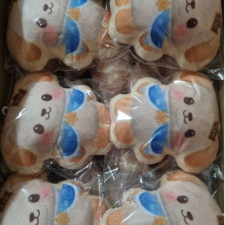 Boneka mascot Domundi fanmade / DMD mascote doll