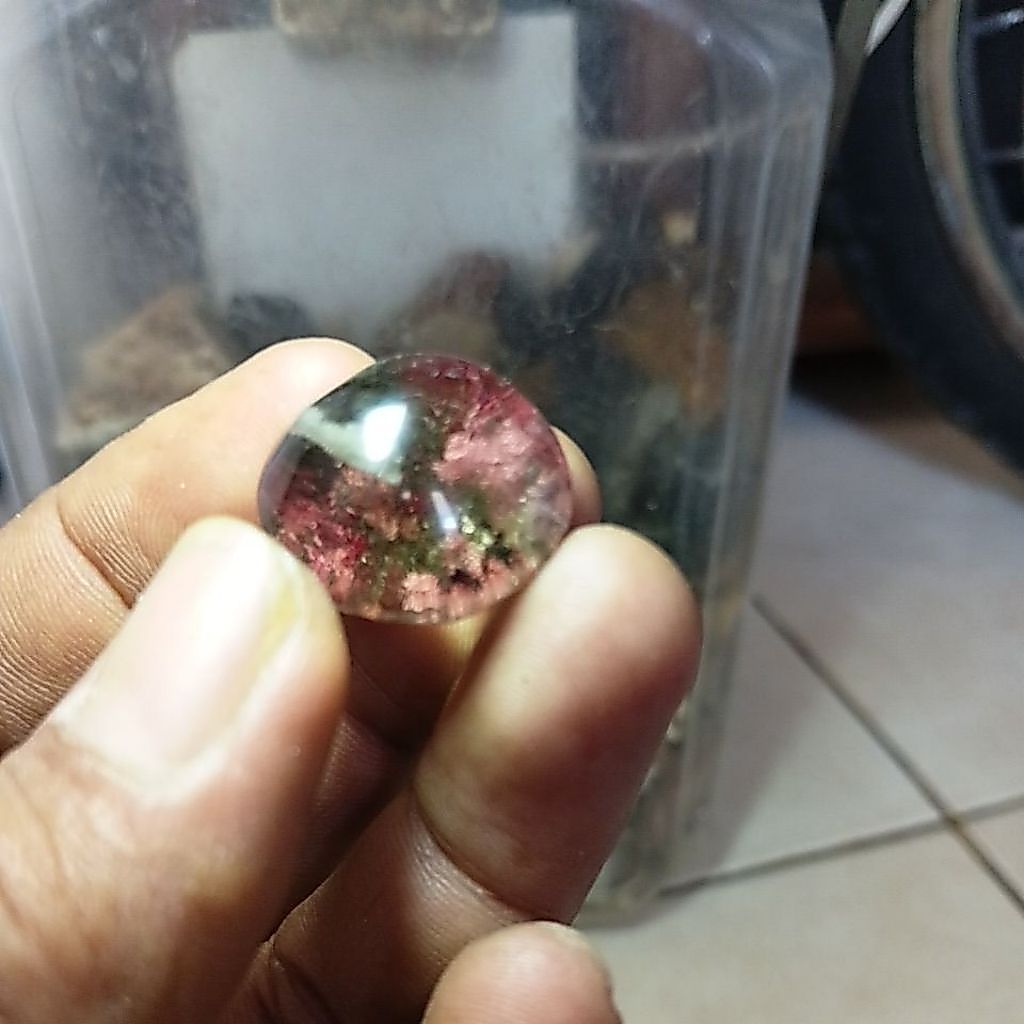 BATU KINYANG KARANG/KECUBUNG KARANG