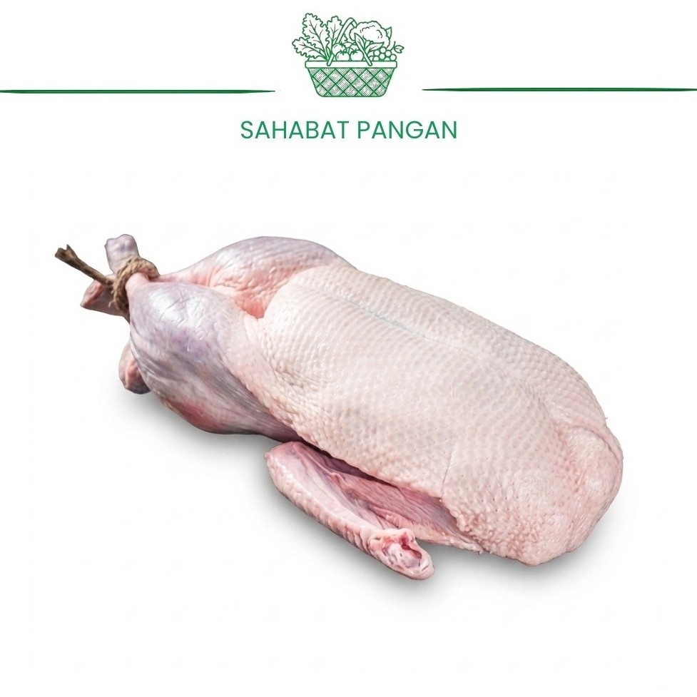 Entok / Entog Utuh Segar 1 Ekor (1,5kg)